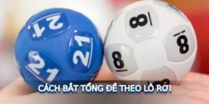 cach-bat-tong-de-theo-lo-roi.