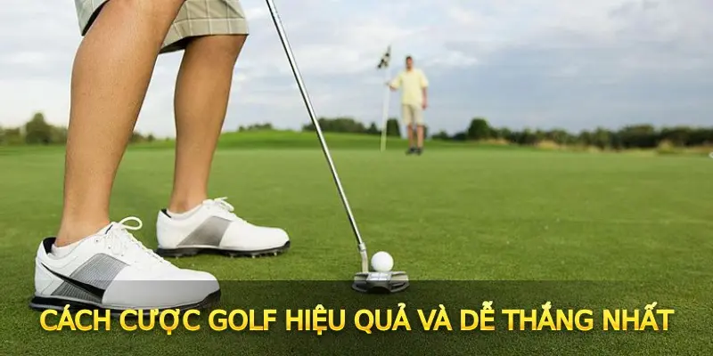 Cách cược Golf hiệu quả và dễ thắng nhất