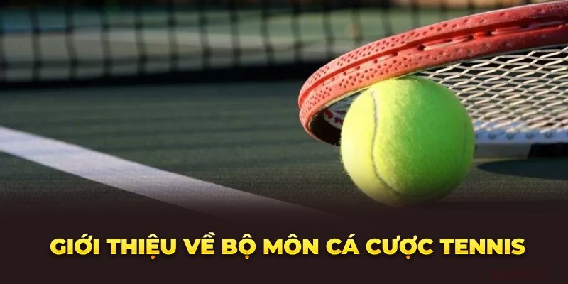 gioi-thieu-ve-bo-mon-ca-cuoc-tennis