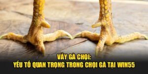 Vay-Ga-Choi-Yeu-To-Quan-Trong-Trong-Choi-Ga-Tai-Win55